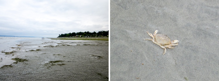 travelyesplease.com | The Ultimate Vancouver Island Road Trip