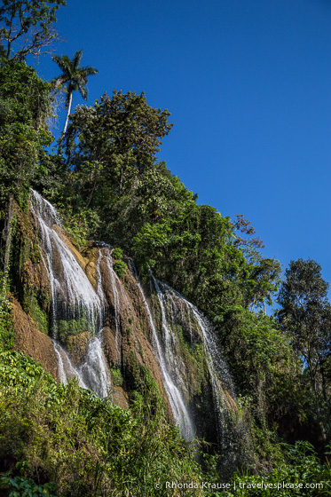 Waterfall in a lush forest.