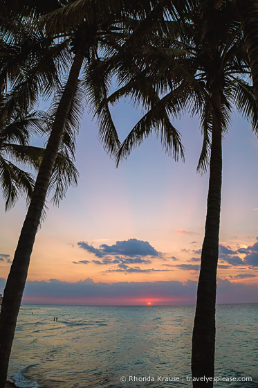 Palm trees and sunset on a beach in Varadero. 