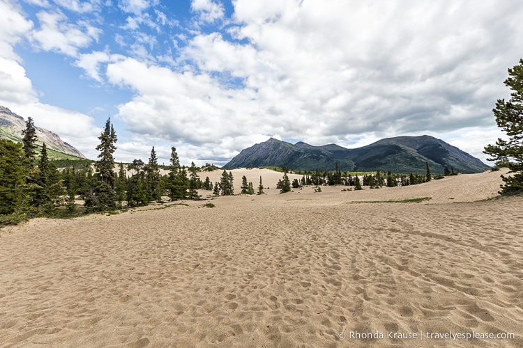 travelyesplease.com | Driving the Klondike Highway- Alaska to the Yukon