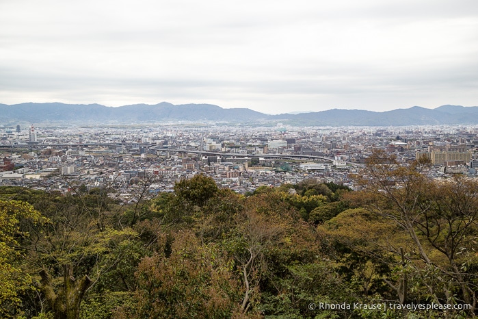 travelyesplease.com | Fushimi Inari Shrine- A Mountain Path Like No Other