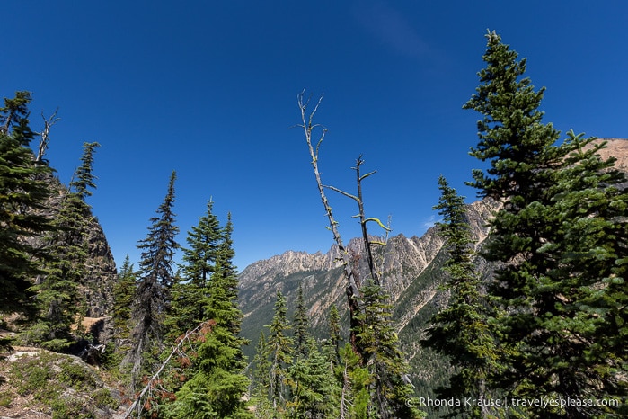 travelyesplease.com | A Scenic Drive on the North Cascades Highway