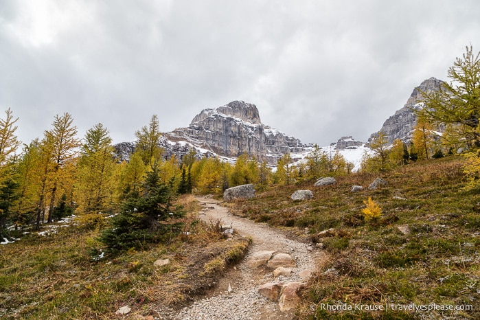 travelyesplease.com | Larch Valley Hike- Lake Louise, Banff National Park