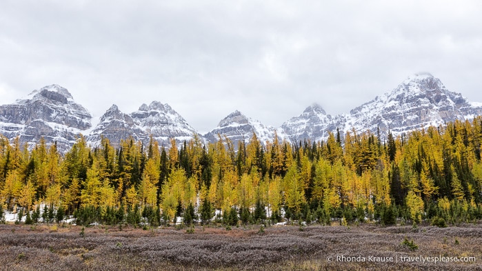 travelyesplease.com | Larch Valley Hike- Lake Louise, Banff National Park