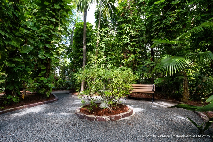 travelyesplease.com | The Ernest Hemingway Home and Museum (and Cats!)