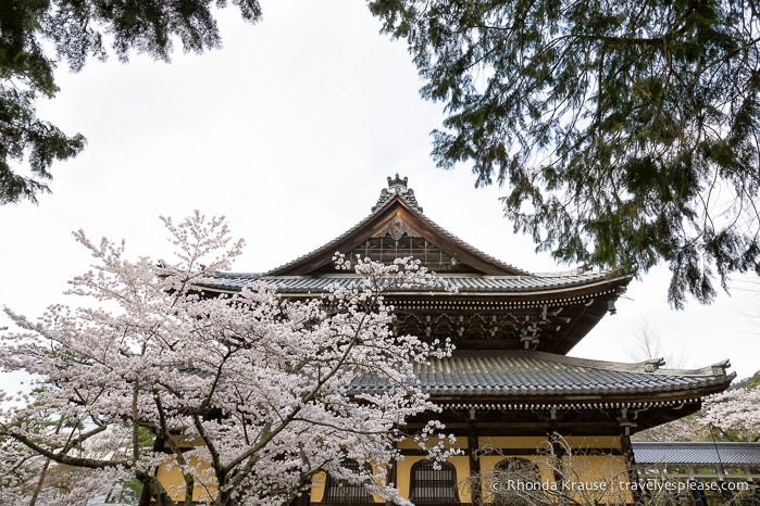 travelyesplease.com | The Path of Philosophy- Kyoto's Prettiest Cherry Blossom Walk