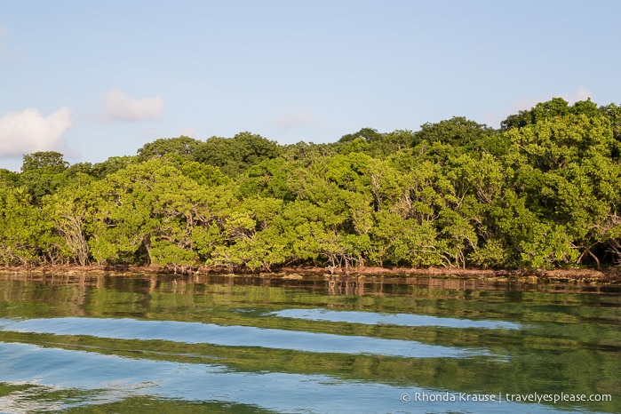 travelyesplease.com | Boat Tour of Islamorada- Visiting Bloodline Filming Locations