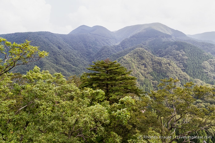 travelyesplease.com | Climbing Mount Mitoku- The Trek to Nageiredo Hall