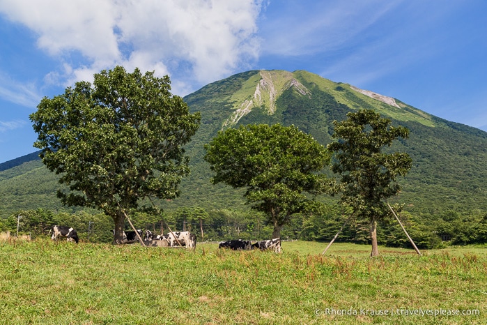 travelyesplease.com | How to Spend 3 Days in Tottori, Japan- My Itinerary 