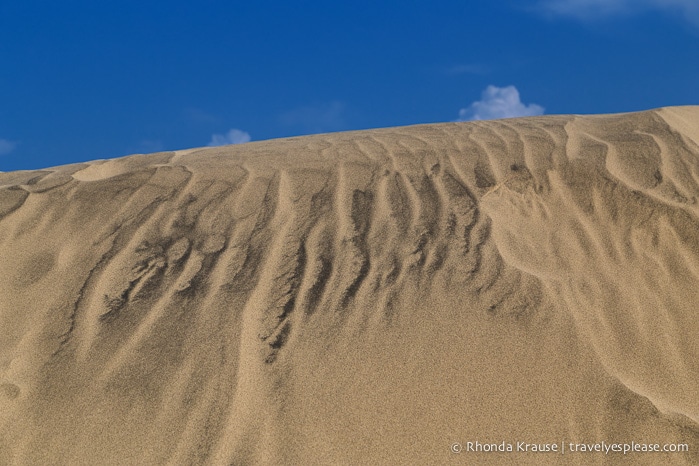 travelyesplease.com | The Tottori Sand Dunes- Enjoying Japan's Largest Dunes
