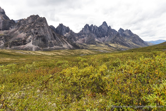 travelyesplease.com | How to Spend a Week in the Yukon- Unforgettable Experiences in Canada's Northwest