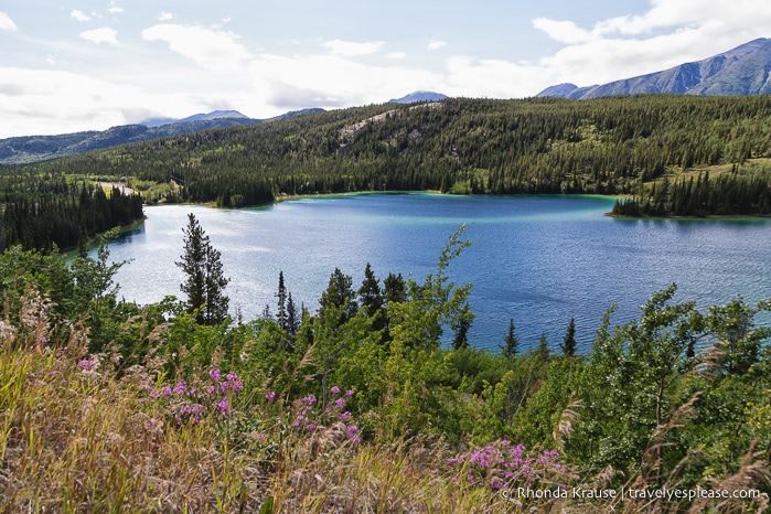 travelyesplease.com | How to Spend a Week in the Yukon- Unforgettable Experiences in Canada's Northwest