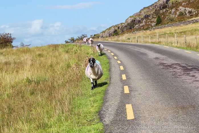 travelyesplease.com | What to Expect on Your First Trip to Ireland: A First Time Visitor's Guide