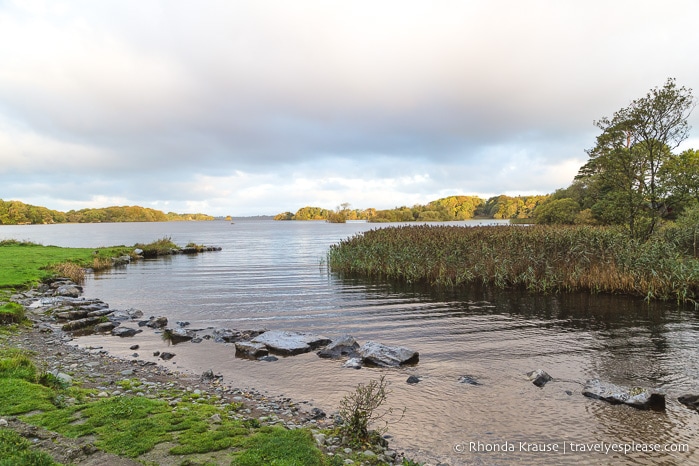 travelyesplease.com | Killarney National Park Photos