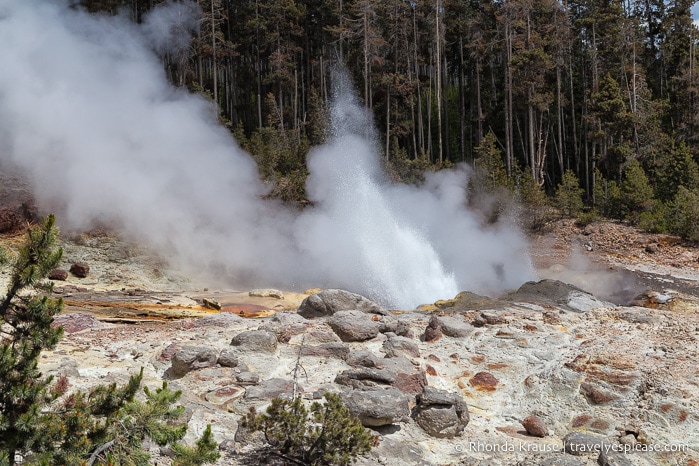 travelyesplease.com | The Best of Yellowstone and Grand Teton National Parks in 5 Days- An In-Depth Tour with Grand American Adventures