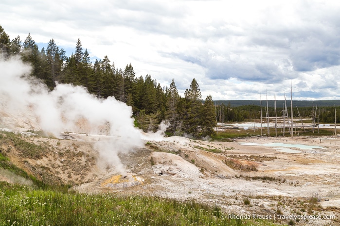 travelyesplease.com | The Best of Yellowstone and Grand Teton National Parks in 5 Days- An In-Depth Tour with Grand American Adventures