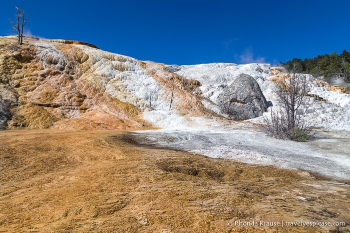 travelyesplease.com | Best Places to Visit in Yellowstone and Grand Teton National Parks in 5 Days