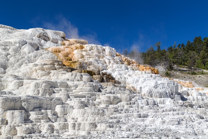 travelyesplease.com | Yellowstone and Grand Teton National Parks- Top Places to Visit in 5 Days