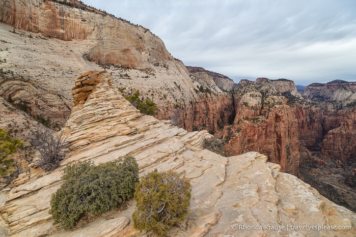travelyesplease.com | Angels Landing Hike- What to Expect on Zion National Park's Most Thrilling Trail