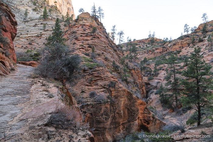travelyesplease.com | Hiking to Observation Point in Zion National Park, Utah