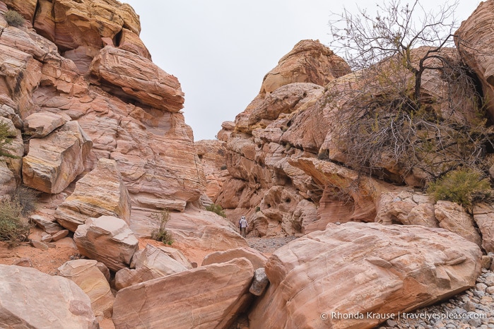 travelyesplease.com | Hiking White Domes Loop- Valley of Fire State Park