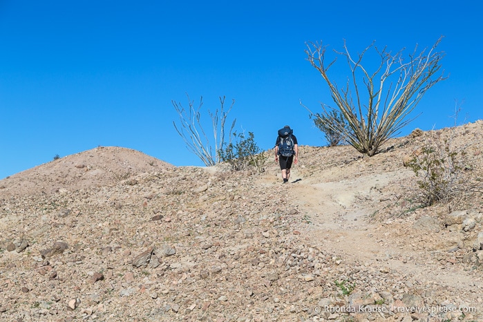 travelyesplease.com | Ladder Canyon and Painted Canyon Trail- A Unique Hike in the Mecca Hills, California