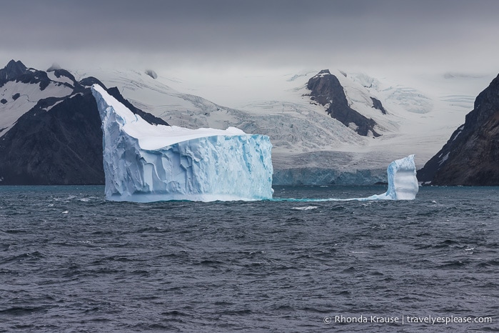 Antarctica Travel Guide- What to Expect When Travelling to Antarctica for the First Time