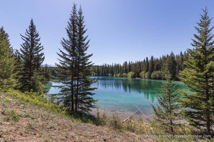 Valley of the Five Lakes, Jasper National Park