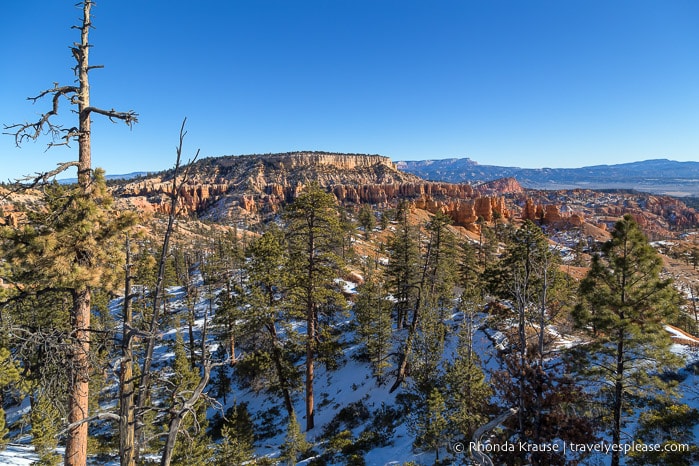 View from Fairyland Loop