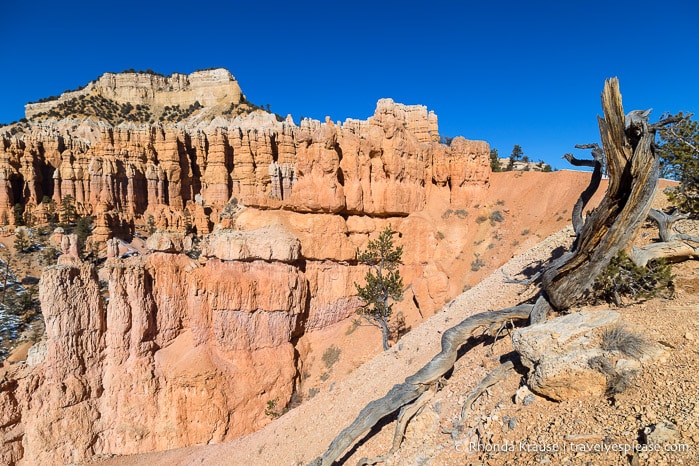 Hoodoos on Fairyland Loop Trail