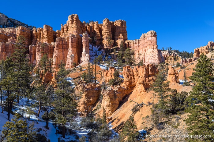 Hoodoos in Bryce Amphitheatre