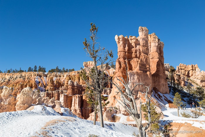 Queen's Garden Trail in winter.