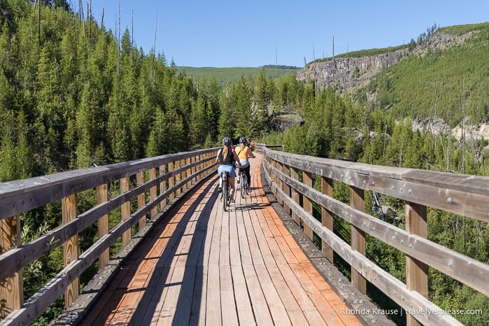 People bike riding on the Myra Canyon trestles.